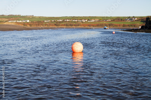 Bright orange buoy floating in the estuary © Nicky Rhodes