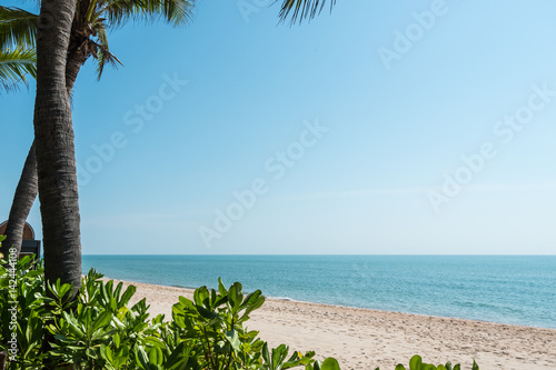Frame of coconut palm tree on the beach with blue sea and clear sky.