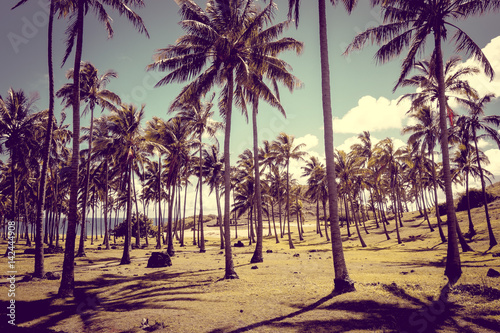 Anakena palm beach and Moais statues site ahu Nao Nao, easter island photo