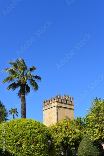 Alcázar de los Reyes Cristianos Cordoba photo