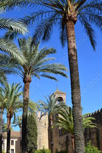 Alcázar de los Reyes Cristianos Cordoba photo