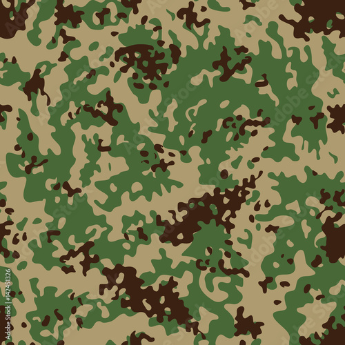 Classic Indian Flectarn Camouflage seamless patterns. Vector Illustration.