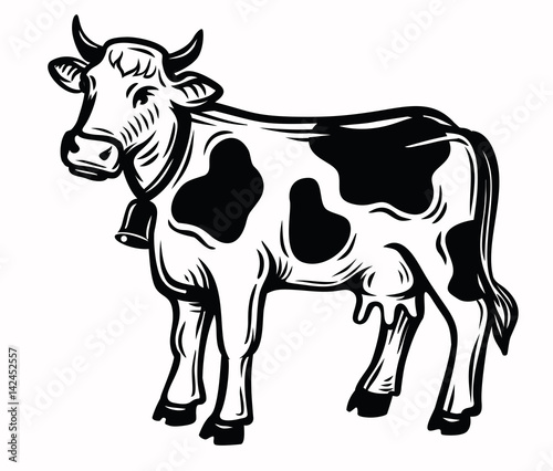 vector illustration of cow