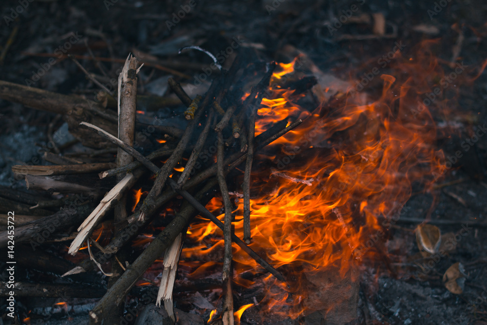 Bonfire in the spring on the nature Bonfire in the spring on the nature