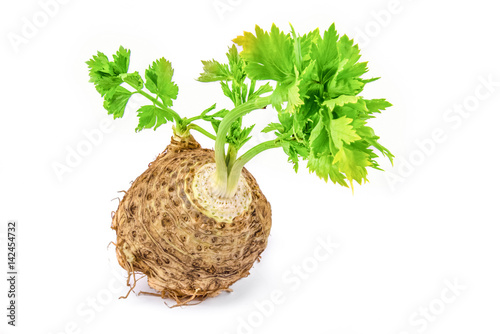 Fresh celery with root leaf on white background