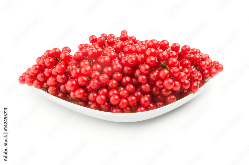 Viburnum berries over a white background Viburnum berries over a white background