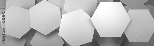 White Hexagon Tiles Background (Website Head)