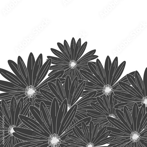 vector flower hand-drawn isolated on white background. Flower isolated against white.