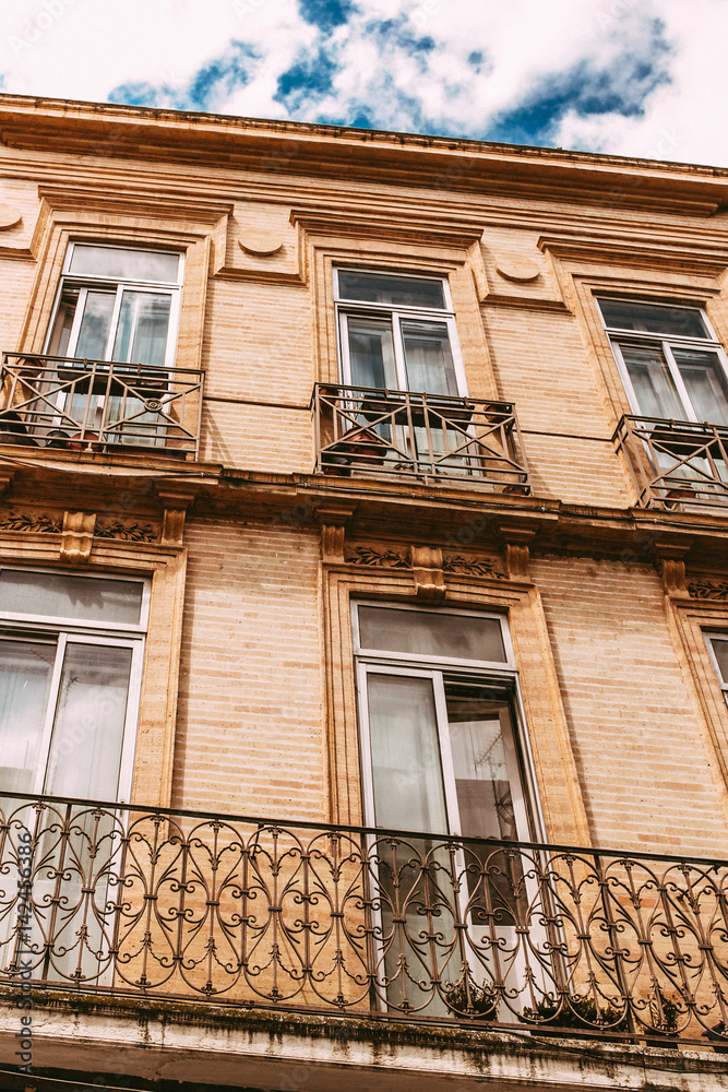 Obraz premium city of toulouse