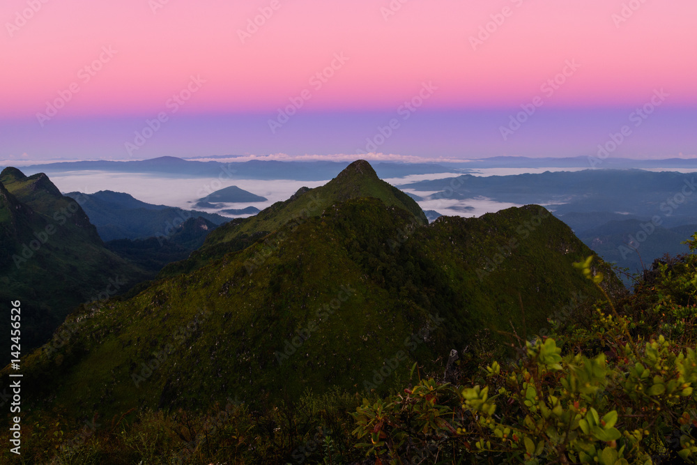 Mountain Mist in sunrise. Mountain Mist in sunrise.