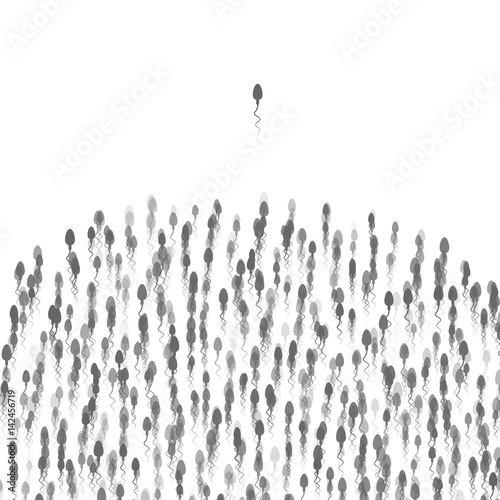 The spermatozoon escaped forward and moves directly to the target