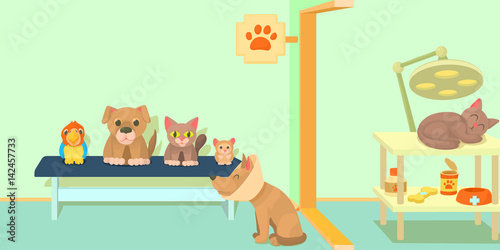 Veterinary clinic horizontal banner, cartoon style