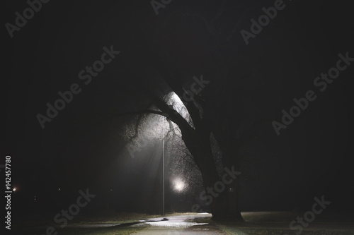Street light at night