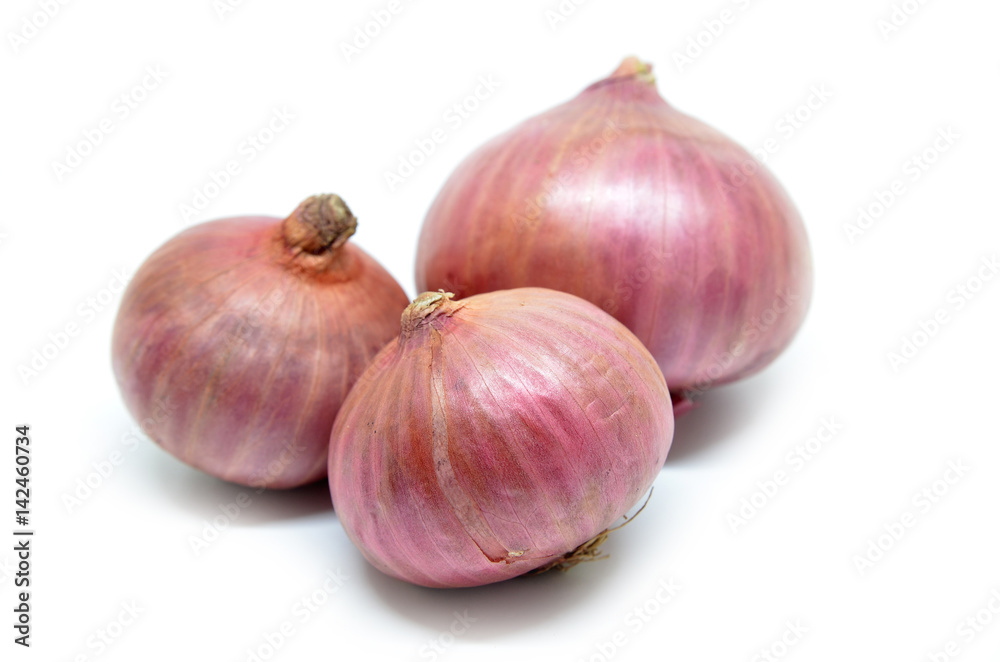Purple onion isolated on a white background Purple onion isolated on a white background