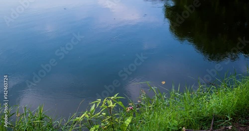 Time lapse shot of  water surface in pond  