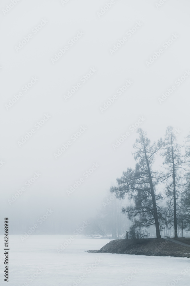 Fototapeta premium Foggy winter morning in winter park