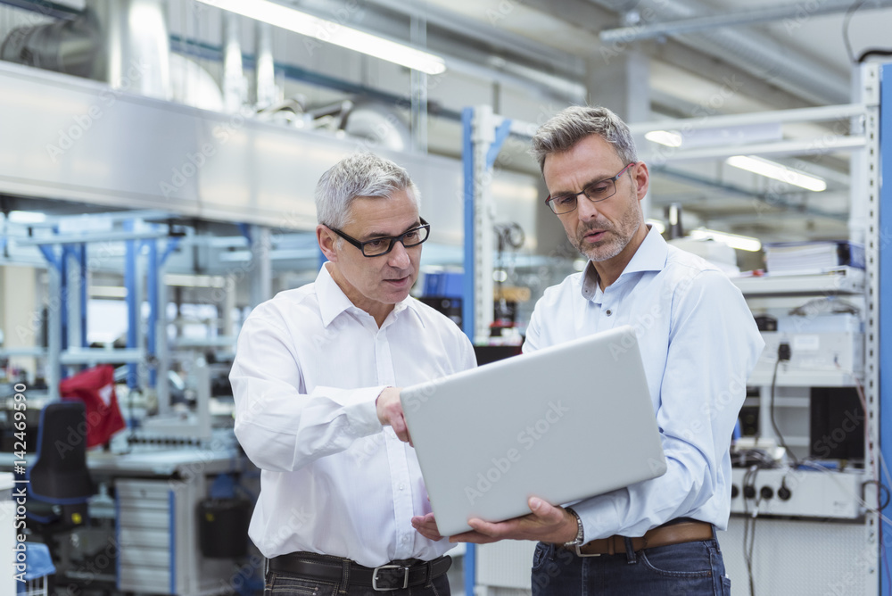 Two managers standing in company using laptop Two managers standing in company using laptop