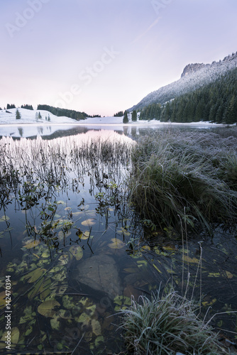 Austria, Sankt Koloman, Seewaldsee in winter photo