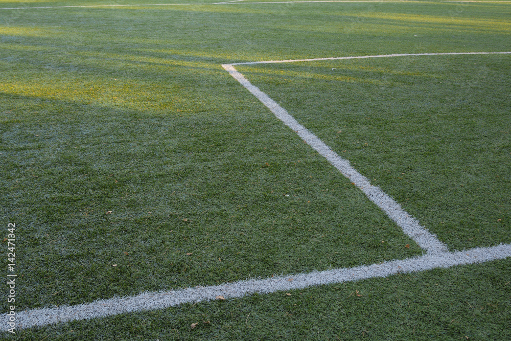 Obraz premium Background artificial turf green grass