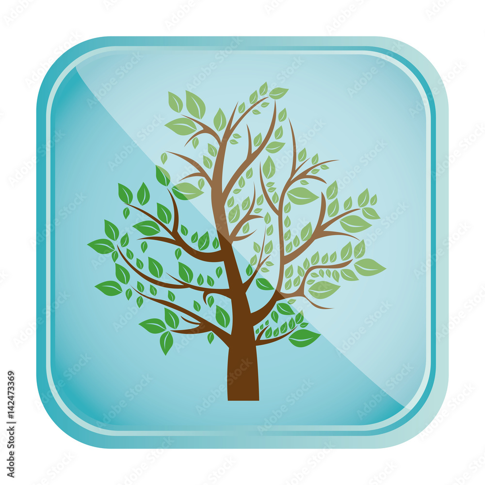 colorful square frame and blue background with tree with leafy branches ...
