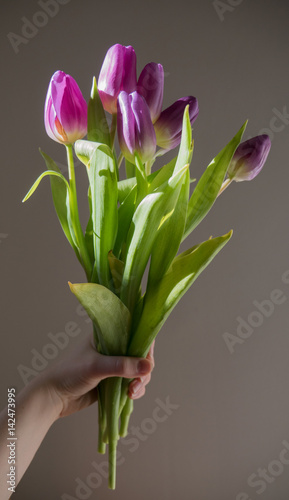 Beautiful bouquet of colorful tulips in woman hand. Spring time, Happy Mothers Day