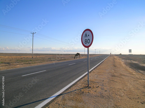 Verkehrsschild mit zulässiger Höchstgeschwindigkeit von 80 km/h in arabischen Zeichen in einer Wüstenlandschaft