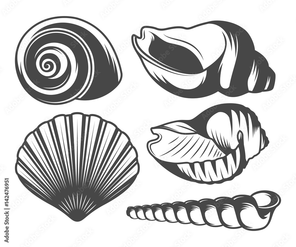 Seashells icons set