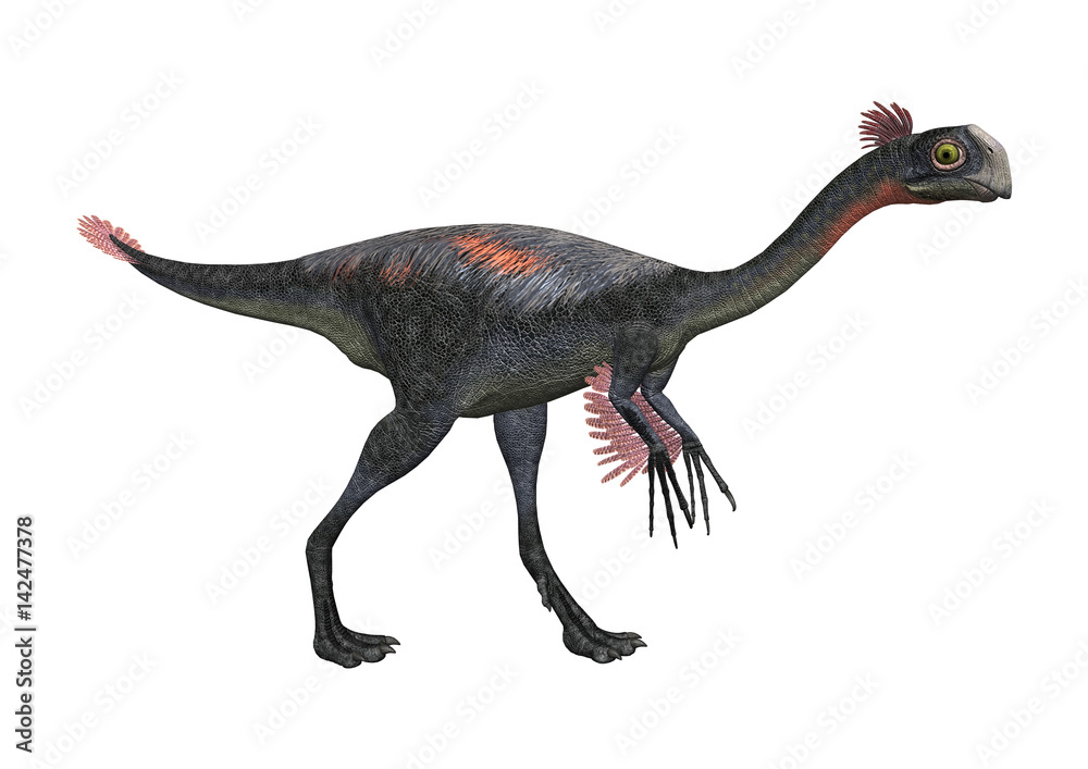 3D Rendering Dinosaur Gigantoraptor on White 3D Rendering Dinosaur Gigantoraptor on White