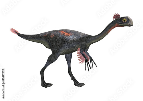 3D Rendering Dinosaur Gigantoraptor on White
