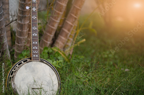 An old banjo rests on a piece of green on a farm lawn. For the leisure of the workers.