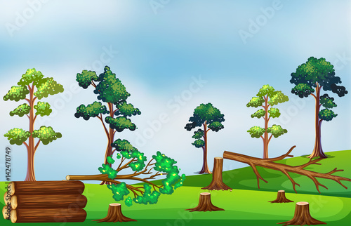 Deforestation scene on the field