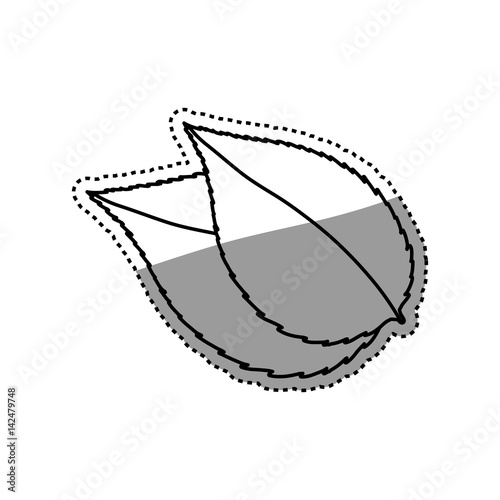 Leaves nature ecology icon vector illustration graphic design © djvstock
