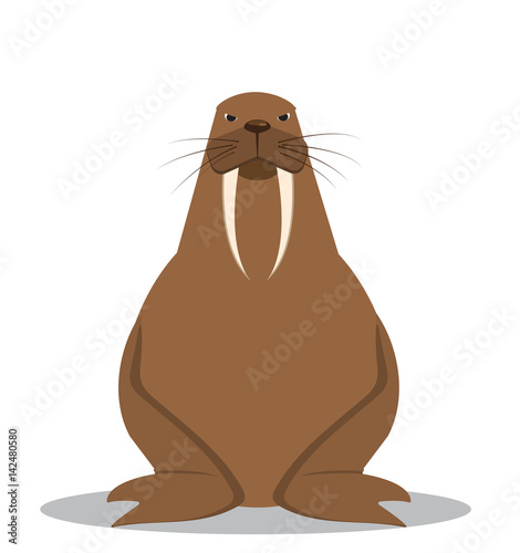 Cartoon walrus with big tusks