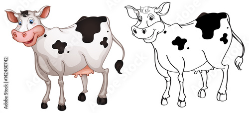 Fototapeta Naklejka Na Ścianę i Meble -  Animal outline for cow