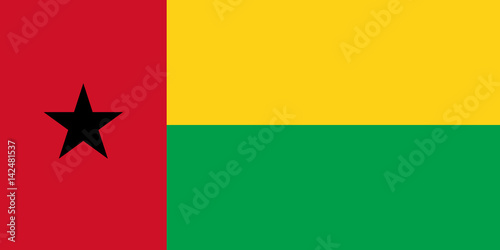 Vector of amazing Guinea Bissau flag. photo