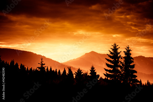 A beautiful, colorful, abstract mountain landscape with trees in a red tonality. Decorative, artistic look.