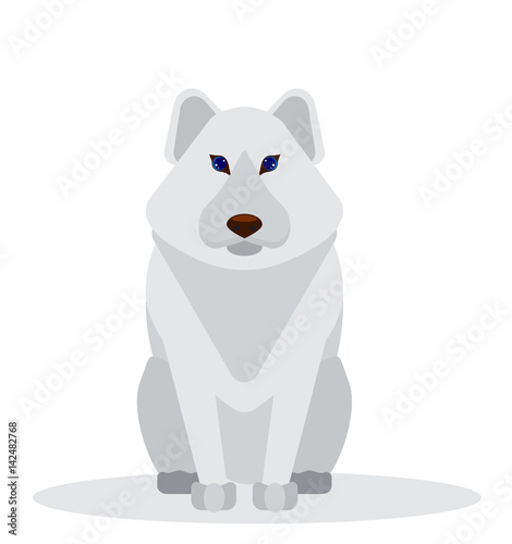 Cartoon polar gray fur dog.
