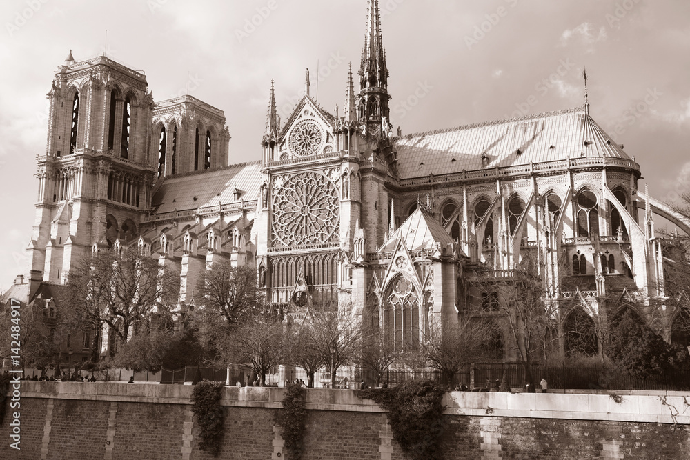 Obraz premium Notre Dame, Paris, France