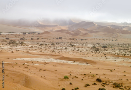 Namib desert in Namibia