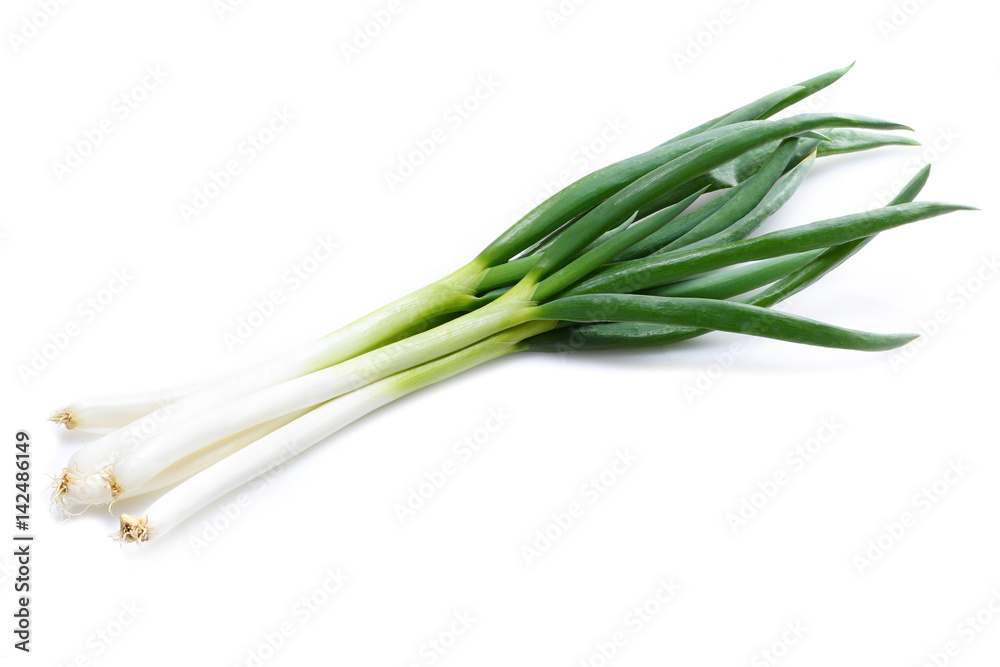 Fototapeta premium ネギ