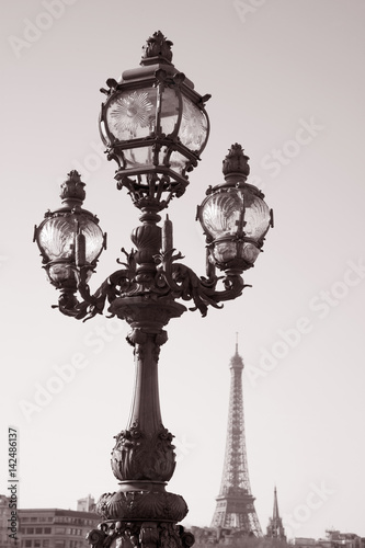 Lamppost on Pont Alexandre III Bridge with the Eiffel Tower in the Background in Paris, France © kevers