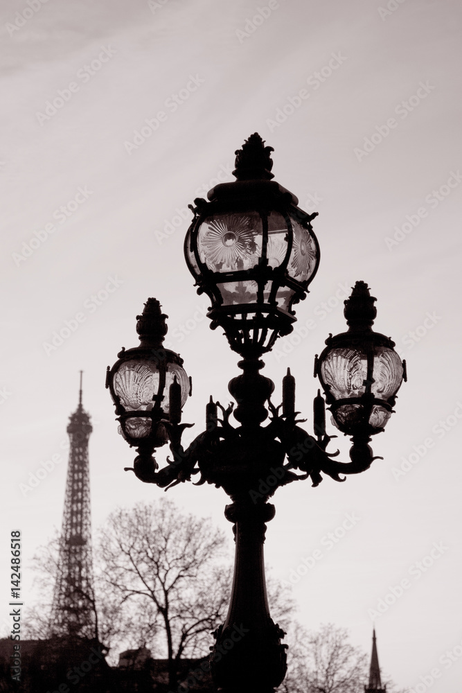 Pont Alexander III Bridge Lamppost with Eiffel Tower, Paris, France
