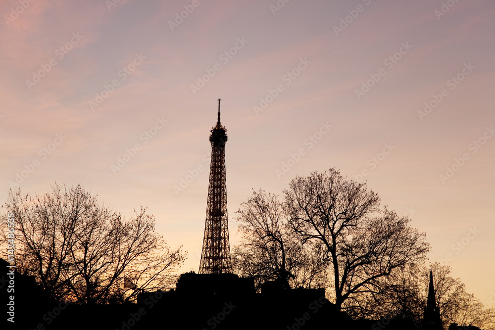 Eiffel Tower at Dusk with Parisian Cityscape; Paris