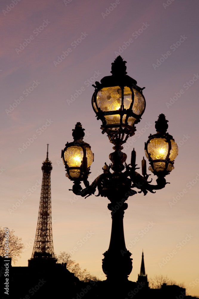 Pont Alexandre III Bridge illuminated at night and the Eiffel Tower in Paris, France