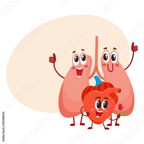 Funny, smiling human lungs and heart characters, internal organs in the  chest, cartoon vector illustration with place for text. Healthy human lungs  and heart characters, health care concept Stock Vector | Adobe