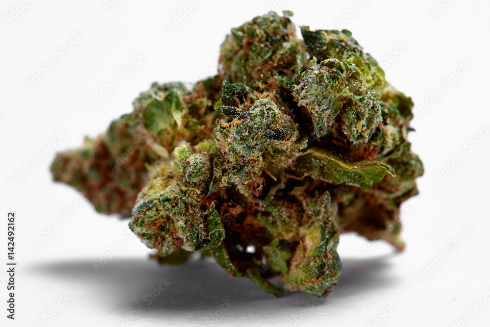 Close up of Green Crack medical marijuana bud Close up of Green Crack medical marijuana bud