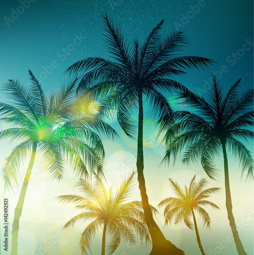 Fototapeta Naklejka Na Ścianę i Meble -  Palm trees, vintage toned and stylized. Vector illustration.EPS10
