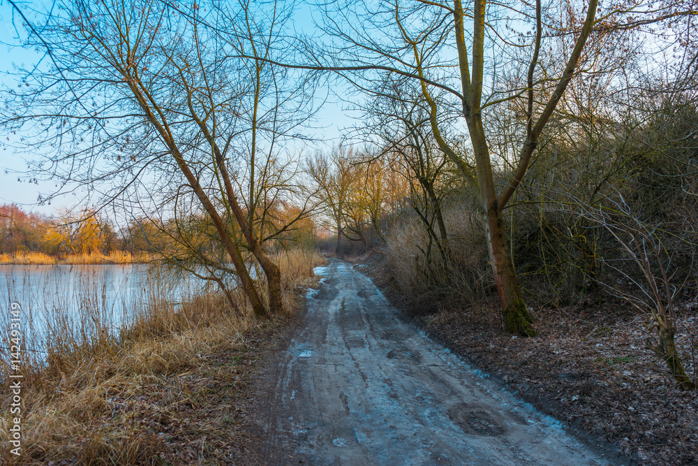 beautiful walk path in winter next to an frozen lake beautiful walk path in winter next to an frozen lake