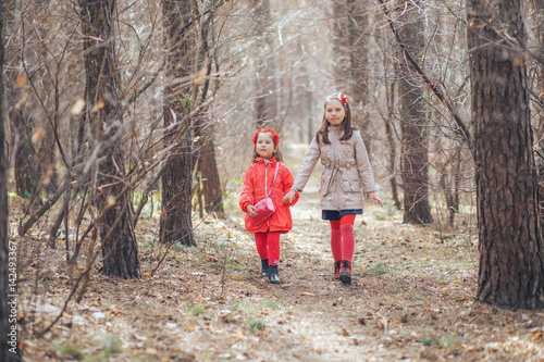 Two little sisters walk in a spring forest