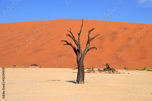 Deadvlei